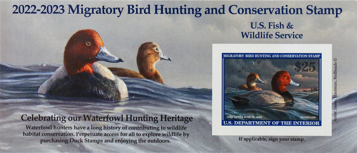 20222023 Federal Duck Stamp Things to Do in Cape May NJ