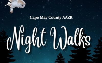 Star Wars Day  Cape May County, NJ - Official Website